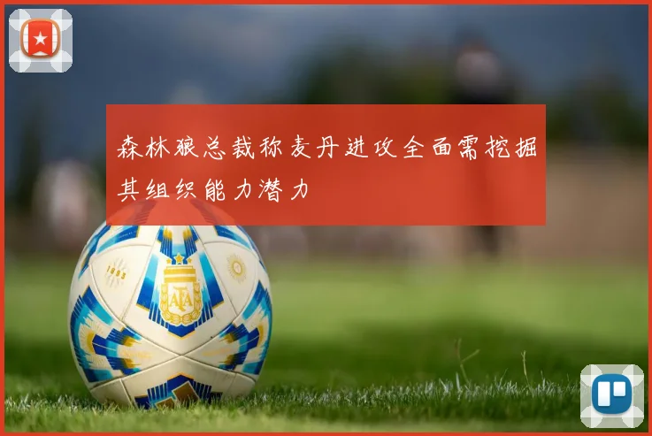 森林狼总裁称麦丹进攻全面需挖掘其组织能力潜力